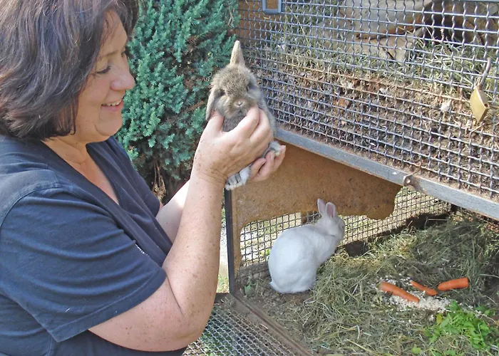 Prázdninový dům Rosato *